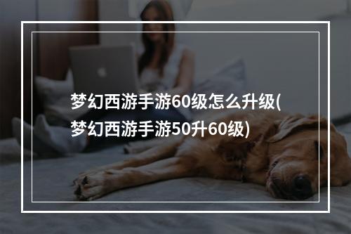 梦幻西游手游60级怎么升级(梦幻西游手游50升60级)