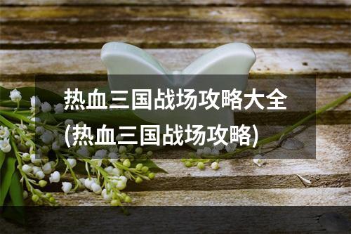 热血三国战场攻略大全(热血三国战场攻略)