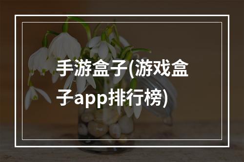 手游盒子(游戏盒子app排行榜)