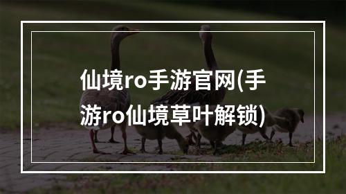 仙境ro手游官网(手游ro仙境草叶解锁)