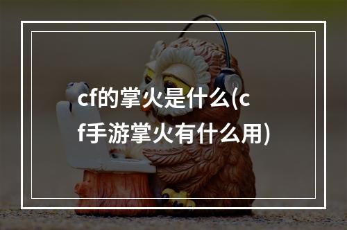 cf的掌火是什么(cf手游掌火有什么用)