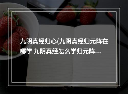 九阴真经归心(九阴真经归元阵在哪学 九阴真经怎么学归元阵)