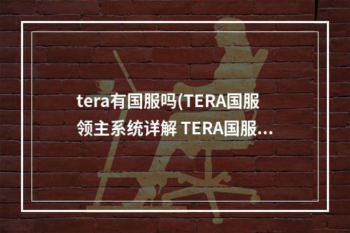 tera有国服吗(TERA国服领主系统详解 TERA国服领主系统介绍)