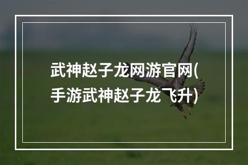 武神赵子龙网游官网(手游武神赵子龙飞升)