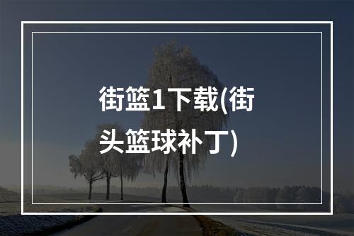 街篮1下载(街头篮球补丁)