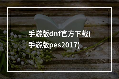 手游版dnf官方下载(手游版pes2017)