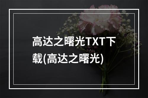 高达之曙光TXT下载(高达之曙光)