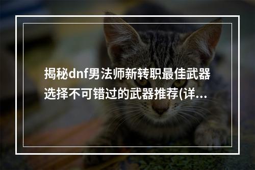 揭秘dnf男法师新转职最佳武器选择不可错过的武器推荐(详细分析)