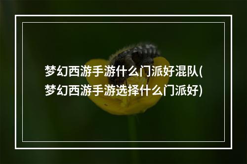 梦幻西游手游什么门派好混队(梦幻西游手游选择什么门派好)