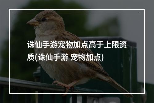 诛仙手游宠物加点高于上限资质(诛仙手游 宠物加点)