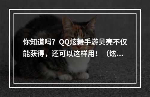 你知道吗？QQ炫舞手游贝壳不仅能获得，还可以这样用！（炫舞手游贝壳用法介绍）(从赚取到使用，QQ炫舞手游贝壳全方位攻略（贝壳的奇妙用途）)