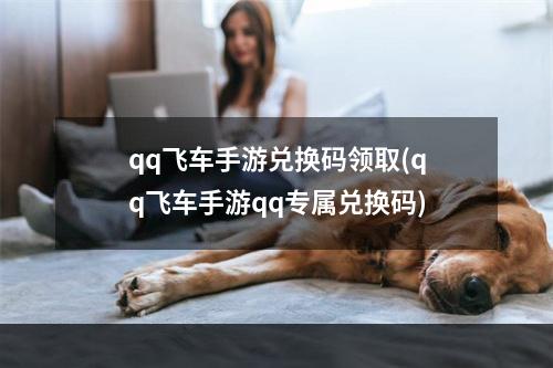 qq飞车手游兑换码领取(qq飞车手游qq专属兑换码)