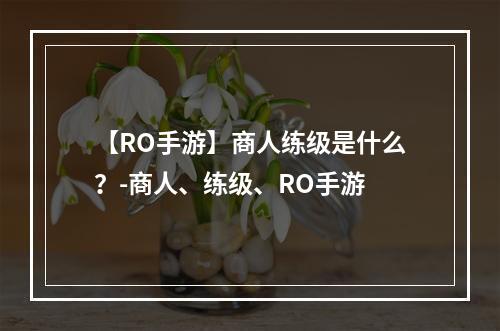 【RO手游】商人练级是什么？-商人、练级、RO手游