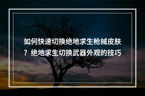 如何快速切换绝地求生枪械皮肤？绝地求生切换武器外观的技巧