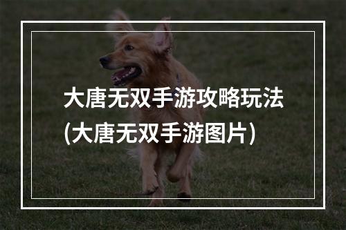 大唐无双手游攻略玩法(大唐无双手游图片)