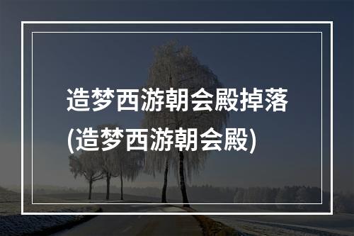 造梦西游朝会殿掉落(造梦西游朝会殿)