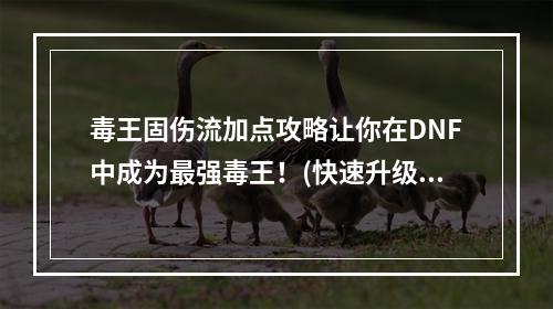 毒王固伤流加点攻略让你在DNF中成为最强毒王！(快速升级攻略)(毒王固伤流加点技巧大揭秘让你的输出疯狂飙升！(实战技巧分享))