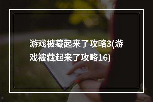 游戏被藏起来了攻略3(游戏被藏起来了攻略16)