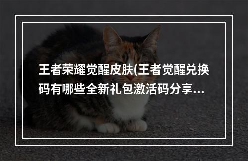 王者荣耀觉醒皮肤(王者觉醒兑换码有哪些全新礼包激活码分享)