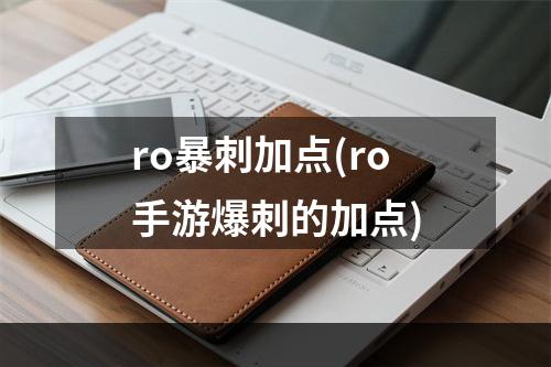 ro暴刺加点(ro手游爆刺的加点)