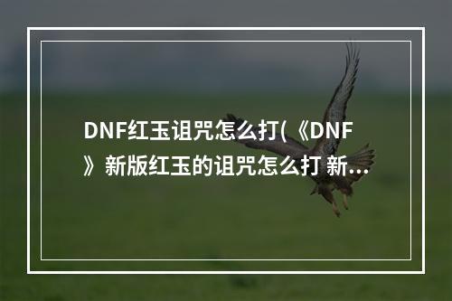 DNF红玉诅咒怎么打(《DNF》新版红玉的诅咒怎么打 新版红玉的诅咒实用打法)