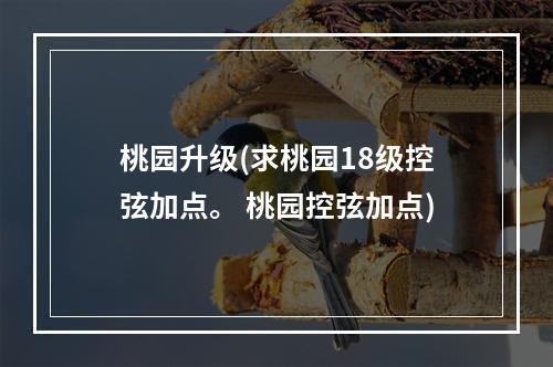 桃园升级(求桃园18级控弦加点。 桃园控弦加点)