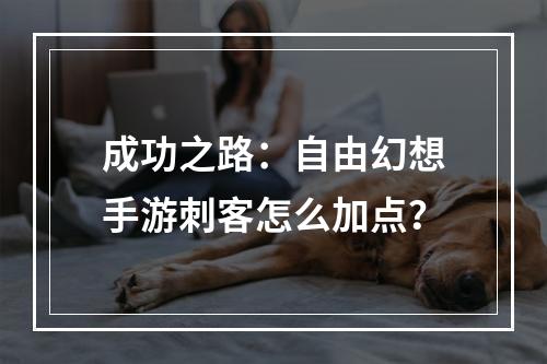 成功之路：自由幻想手游刺客怎么加点？