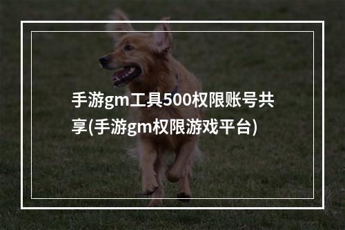 手游gm工具500权限账号共享(手游gm权限游戏平台)