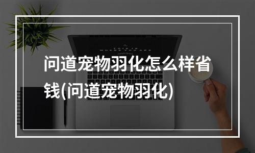 问道宠物羽化怎么样省钱(问道宠物羽化)