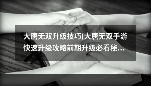 大唐无双升级技巧(大唐无双手游快速升级攻略前期升级必看秘籍)