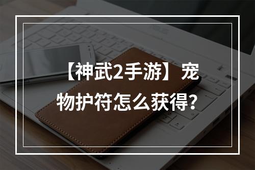 【神武2手游】宠物护符怎么获得？