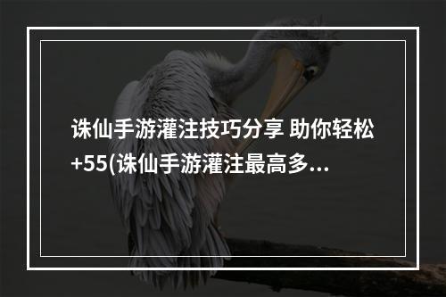 诛仙手游灌注技巧分享 助你轻松+55(诛仙手游灌注最高多少级)