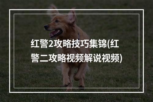 红警2攻略技巧集锦(红警二攻略视频解说视频)