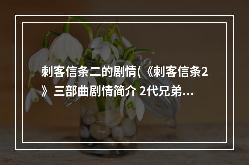 刺客信条二的剧情(《刺客信条2》三部曲剧情简介 2代兄弟会启示录剧情)