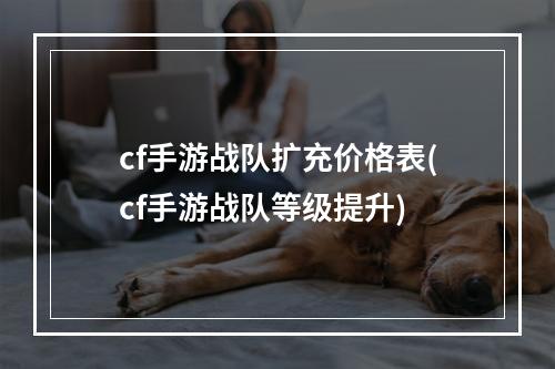 cf手游战队扩充价格表(cf手游战队等级提升)