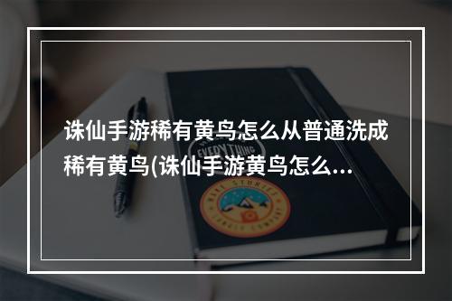 诛仙手游稀有黄鸟怎么从普通洗成稀有黄鸟(诛仙手游黄鸟怎么抓)