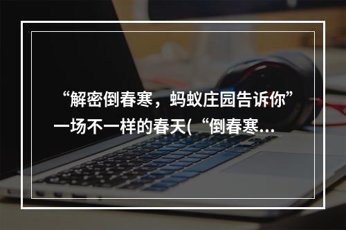 “解密倒春寒，蚂蚁庄园告诉你”一场不一样的春天(“倒春寒”究竟是什么，蚂蚁庄园上演春天大逆转)