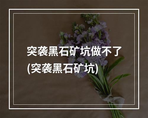 突袭黑石矿坑做不了(突袭黑石矿坑)