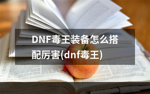 DNF毒王装备怎么搭配厉害(dnf毒王)