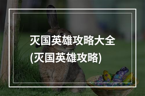 灭国英雄攻略大全(灭国英雄攻略)