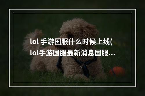 lol 手游国服什么时候上线(lol手游国服最新消息国服什么时候正式上线)