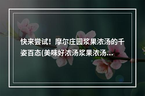 快来尝试！摩尔庄园浆果浓汤的千姿百态(美味好浓汤浆果浓汤)