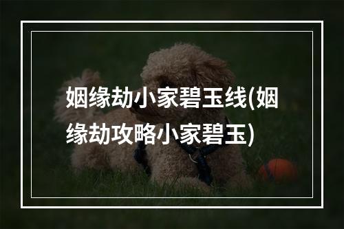 姻缘劫小家碧玉线(姻缘劫攻略小家碧玉)