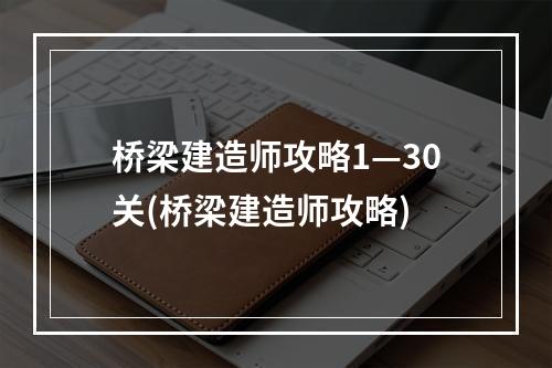 桥梁建造师攻略1—30关(桥梁建造师攻略)