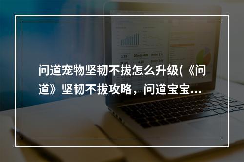 问道宠物坚韧不拔怎么升级(《问道》坚韧不拔攻略，问道宝宝技能坚韧不拔 宝宝坚韧)