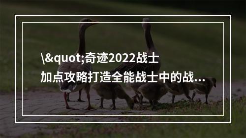 \"奇迹2022战士加点攻略打造全能战士中的战神\"(\"揭秘奇迹2022战士加点决胜千里之外\")