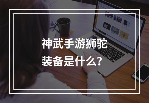 神武手游狮驼装备是什么？