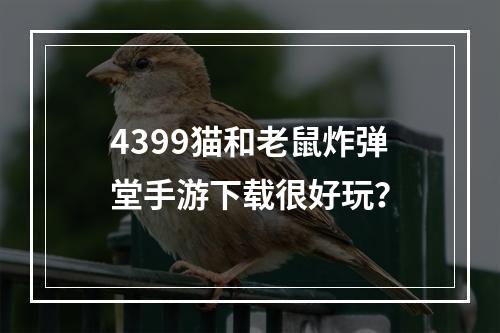 4399猫和老鼠炸弹堂手游下载很好玩？