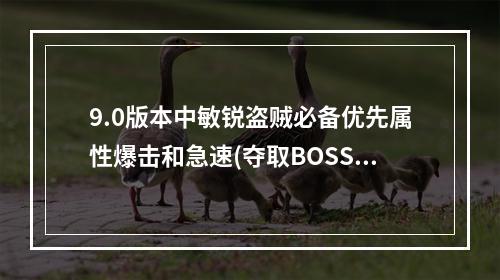 9.0版本中敏锐盗贼必备优先属性爆击和急速(夺取BOSS晶石有效战术)