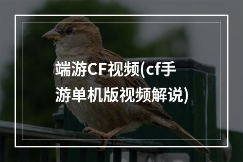 端游CF视频(cf手游单机版视频解说)